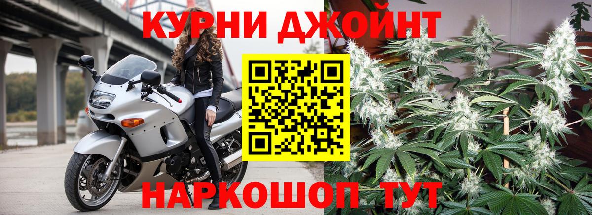МАРИХУАНА сатива Дальнереченск